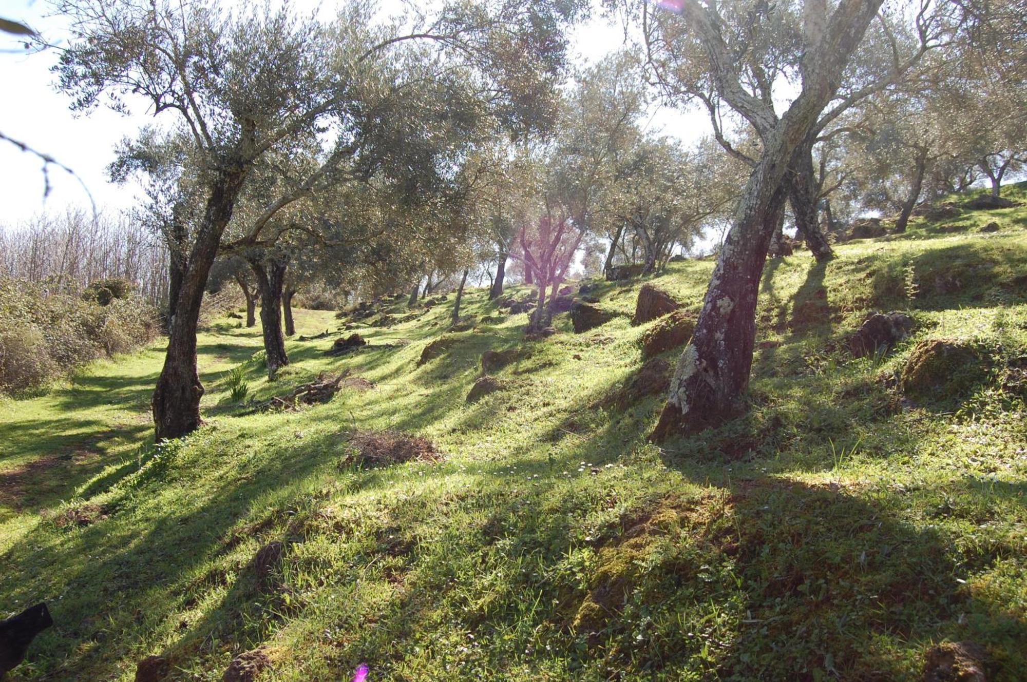 Los Pozos de la Nieve Constantina Exterior foto